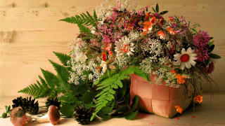 Potted plant flowers ferns still - free flowers wallpaper
