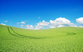 Green field blue sky clouds 36 - free landscape wallpaper