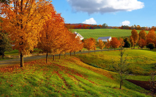 Scenic farm road autumn leaves - scenic free wallpaper for desktop