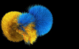 Colorful fireworks raytraced sunflower yellow - free neon wallpaper for desktop