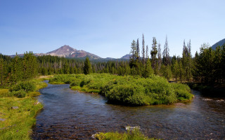 River forest mountains blue sky - a lush green forest free wallpaper for desktop