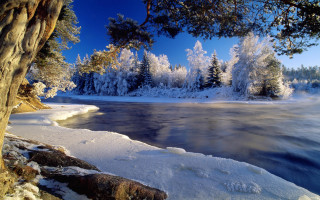 Lake snow covered trees ice - a lake free wallpaper
