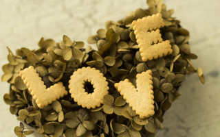 Plant cookies love leaves flower - cookie free wallpaper