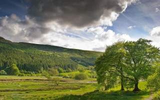 Green field tree mountain clouds 2 - dramatic light free wallpaper for desktop