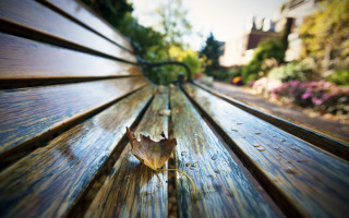 Leaf bench park blurry background - free rain wallpaper for desktop