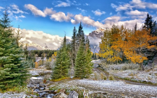 Forest stream rocks cloudy mountain - free autumn wallpaper