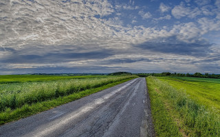 Dirt road green field cloudy 2 - a green field below free wallpaper