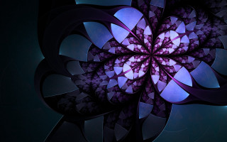 Purple blue flower black white - image of a flower free wallpaper for desktop