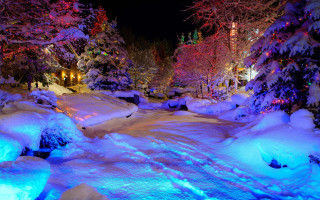Snowy path lights trees night - holography free wallpaper