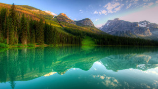 Mountain range reflection lake pine 3 - bob thompson free wallpaper for desktop