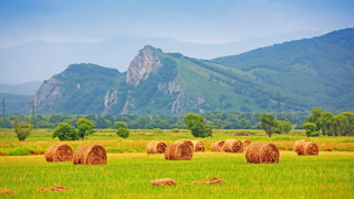 Hay bales mountain green field - a green field and trees free wallpaper