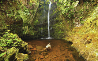 Jungle waterfall man horse ecological - the water and a man free wallpaper