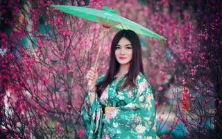 Woman kimono umbrella cherryblossoms spring 2 - a woman in a kimono holding free wallpaper for desktop
