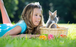 Girl basket bunny dandelion fireflies - david ramsay hay free wallpaper
