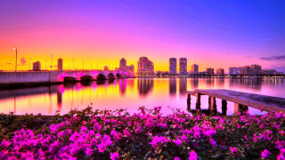 Sunset city lake flowers bridge - bob thompson free wallpaper for desktop