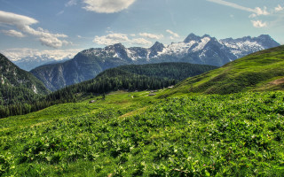 Grassy field mountains clouds blue - a grassy field free wallpaper for desktop