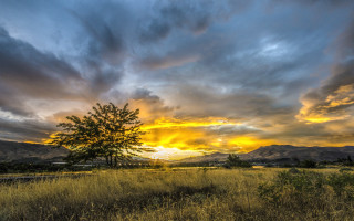 Tree field sunset clouds mountains 2 - a sunset in the background free wallpaper for desktop