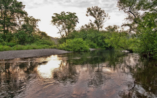 Hudson river impressionist nature scene 2 - river free wallpaper