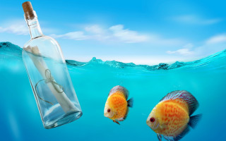 Bottle fish surrealism storybook ocean - a bottle free wallpaper