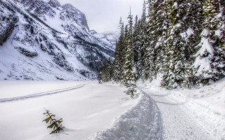 Snowy road mountain forest trail - a snowy road free wallpaper