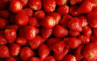 Strawberries knife macro sparkle bolswert - strawberry free wallpaper for desktop