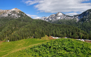 Grassy field mountain snow panoramic - the top of the mountains free wallpaper for desktop