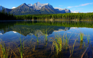 Mountain reflection lake trees grass 4 - a mountain range in the background free wallpaper
