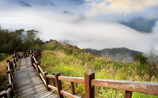 Wooden walkway lush green hillside - a wooden walkway free wallpaper