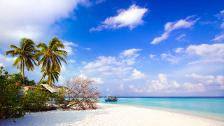 Tropical island beach palm hut - a tropical island free wallpaper