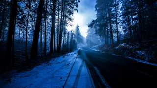 Snowy forest road matte painting 2 - a road in the middle of a forest free wallpaper