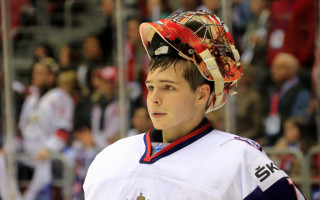Hockey player crowd stadium blurry - a crowd watching free wallpaper