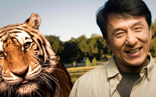 Man tiger smiling asia old - a tiger free wallpaper