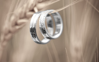 Wedding rings wheat sepia photorealism - ring free wallpaper