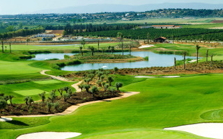 Golf course pond green field - exekia free wallpaper for desktop