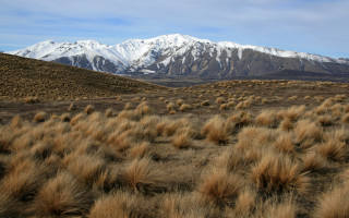 Field mountains bushes snow matte - the top of the mountains free wallpaper