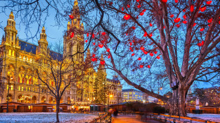 Winter park snow architecture bridge - viennese actionism free wallpaper