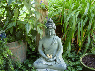 Buddha statue garden plants potted - a garden free wallpaper