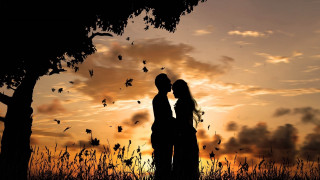Romantic couple field sunset butterflies - cyril rolando free wallpaper