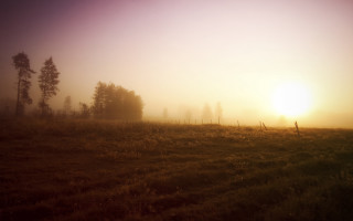 Foggy field trees fence sunset - a foggy field free wallpaper