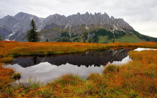 Mountain lake meadow forest autumn - a lake in the foreground free wallpaper