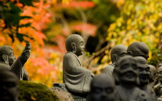Buddha statues garden flowers trees - eizō katō free wallpaper for desktop