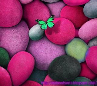 Green butterfly pile rocks pink - pointillism free wallpaper for tablet