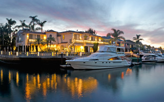 Marina dusk palm trees urban - a marina free wallpaper