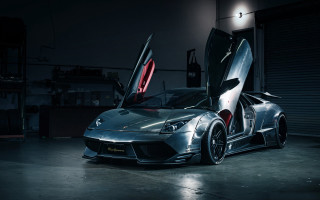 Silver sports car doors open 4 - the door open free wallpaper