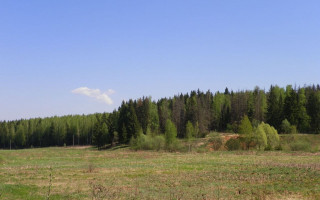 Field forest sky bush house - a forest in the background free wallpaper for desktop