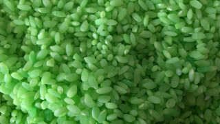 Green seeds cooked silk leaf - cao zhibai free wallpaper