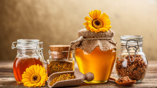Honey sunflower oil table flower - free holidays wallpaper