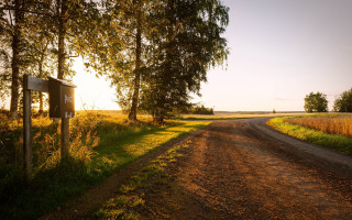 Dirt road sign field trees - arvid nyholm free wallpaper
