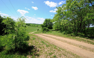 Dirt road green field hill - tree and a hill in the background free wallpaper