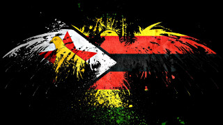 Grungy flag bird back flag - the front of it free wallpaper for desktop